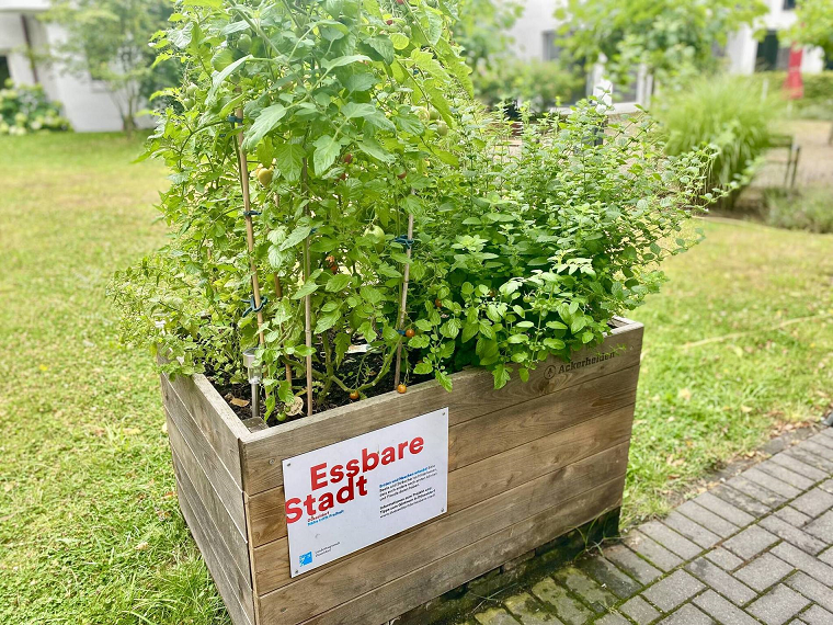 Hochbeet der Aktion Essbare Stadt Düsseldorf