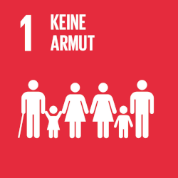 sdg1