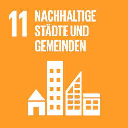 sdg11