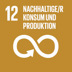 sdg12