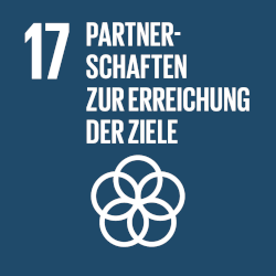 sdg17